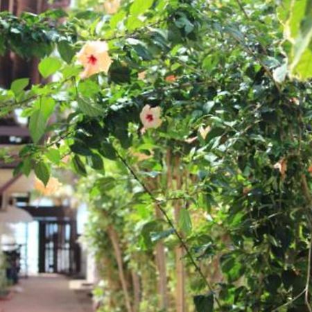 Pousada Parador 081 Pôrto das Galinhas 외부 사진