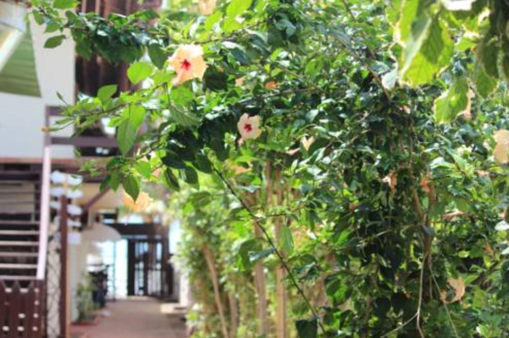 Pousada Parador 081 Pôrto das Galinhas 외부 사진